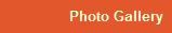 Photo Gallery