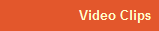 Video Clips
